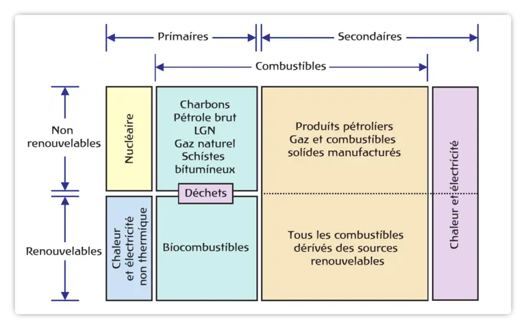 Terminologie des produits énergétiques